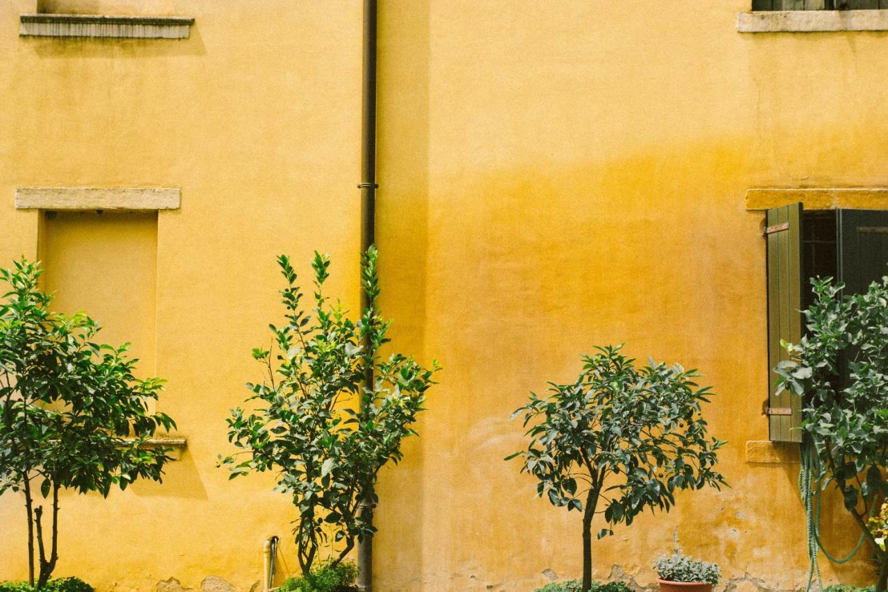 Villa Fava Montagnana  Luaran gambar